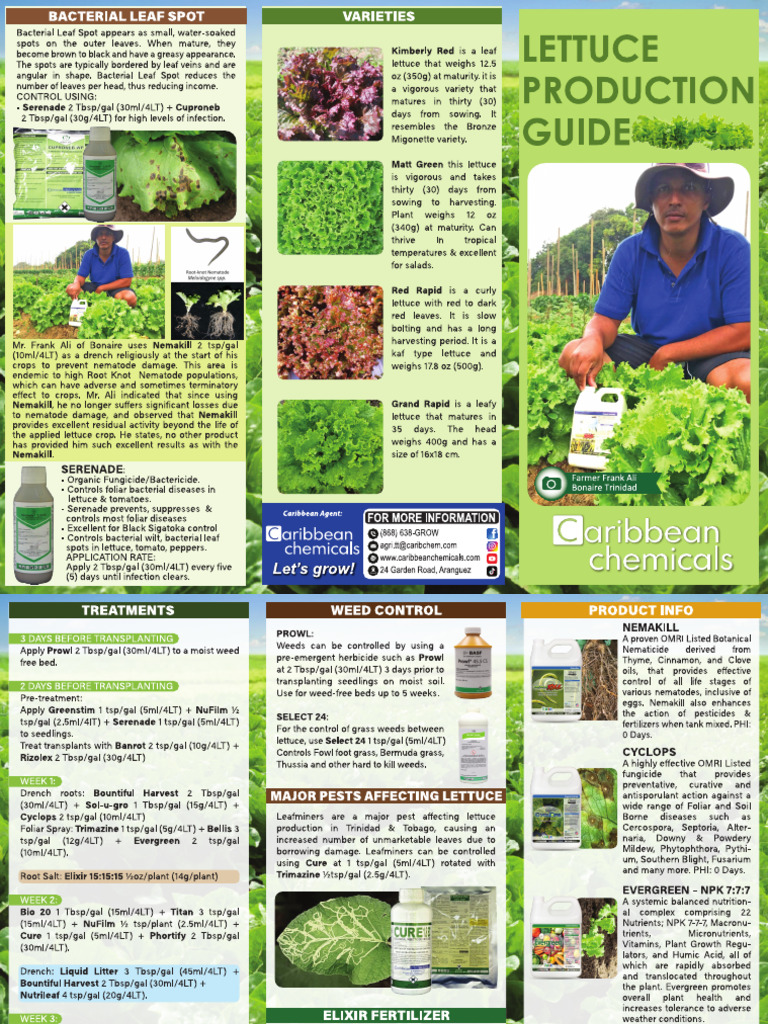 Lettuce Guide Final April 2024 | PDF