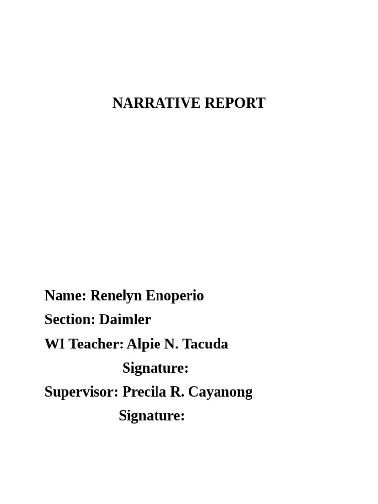 Final Narrative Report Immersion | PDF