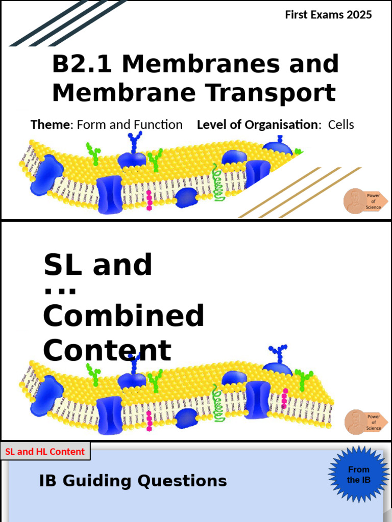 Membranes and Membrane Transport | PDF | Cell Membrane | Lipid Bilayer