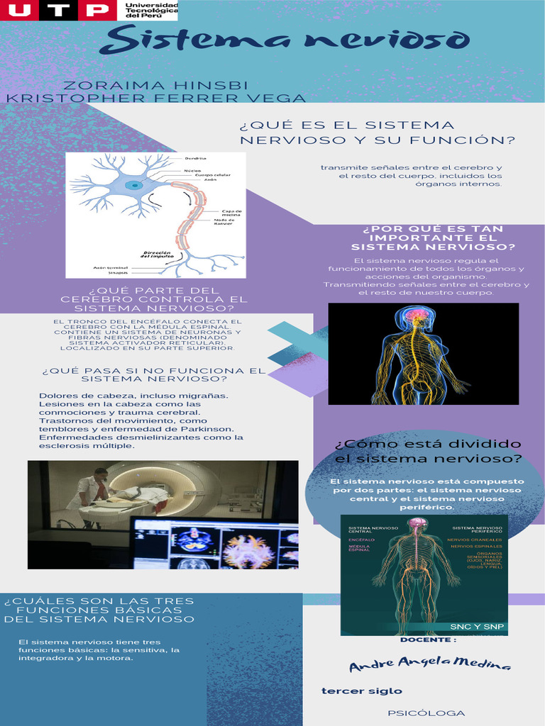 Funciones y Estructura del Sistema Nervioso | PDF | Sistema nervioso ...
