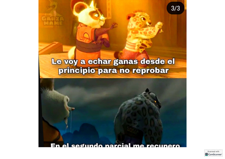 Meme 1 | PDF