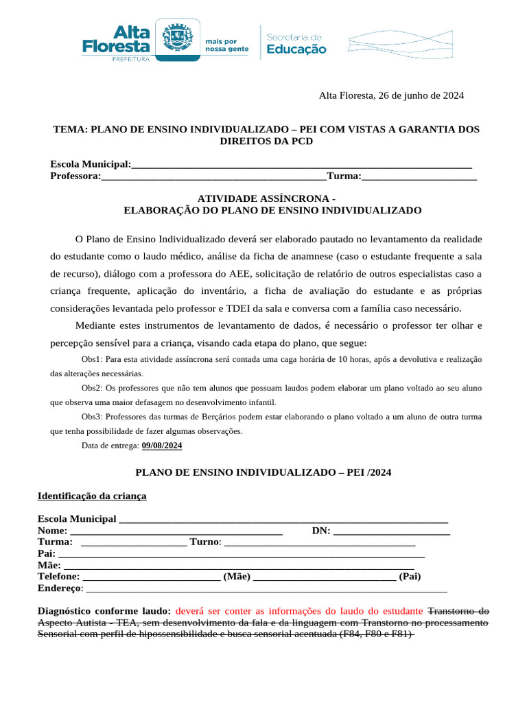 Plano de Ensino Individualizado para PCD | PDF | Espectro do autismo ...