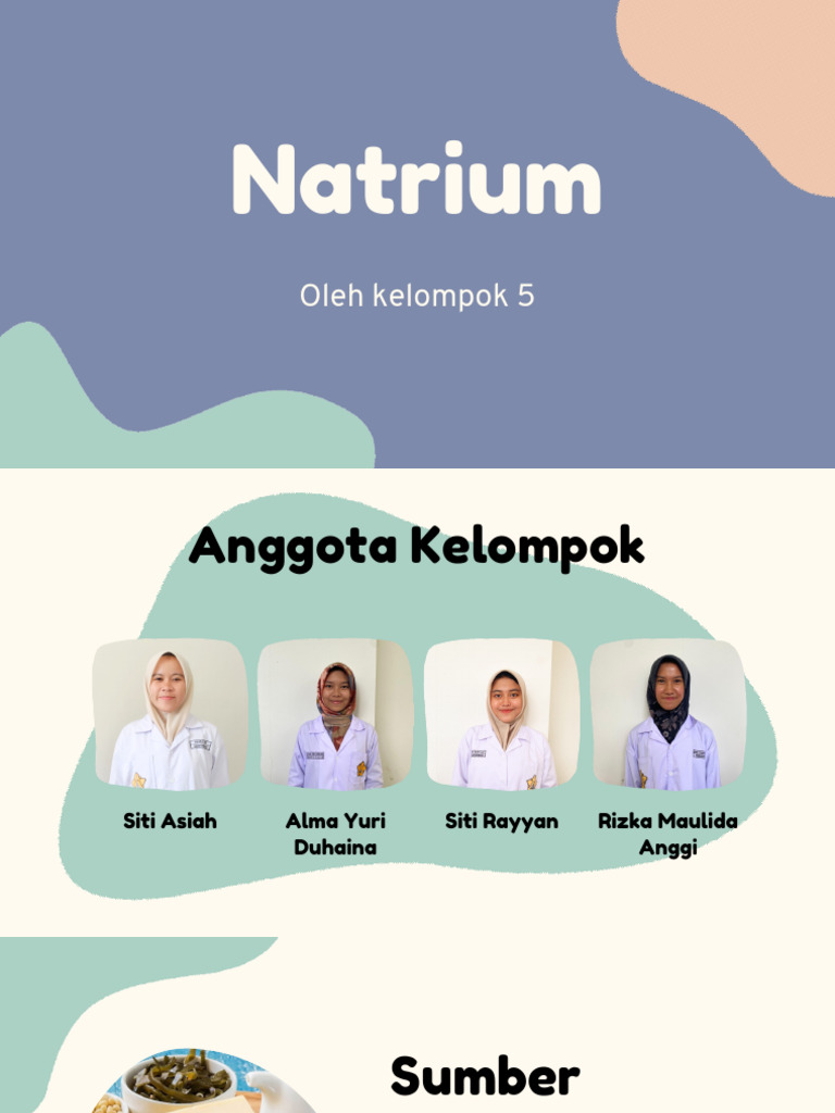 Kelompok 5 Natrium Pdf
