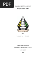 Download Osteogenic Protein 1 by Tedy TheDoctorjr SN76687542 doc pdf