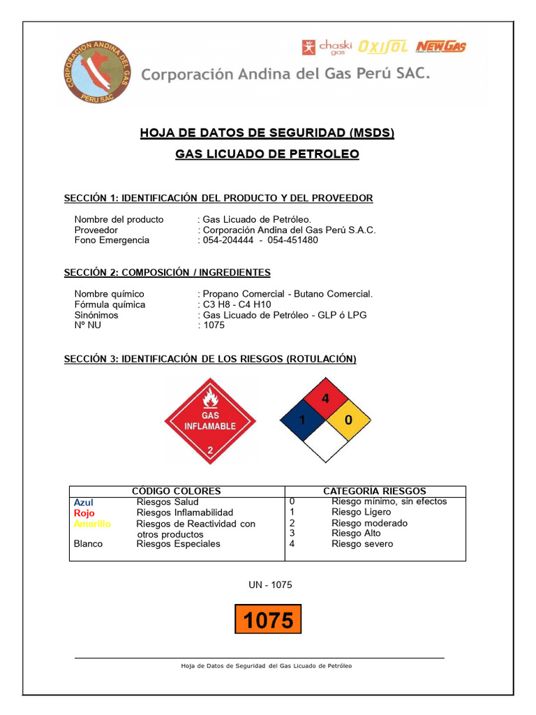 HOJA MSDS gas | PDF