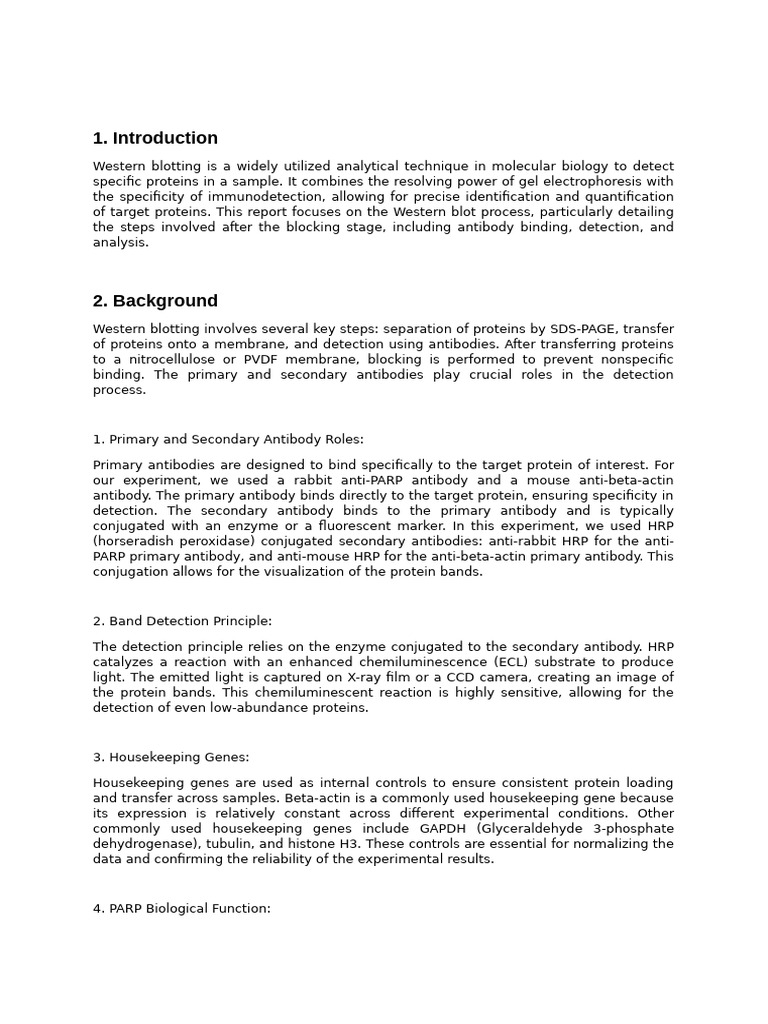 Biochemistry Laboratory Report (202XXXXX) | PDF