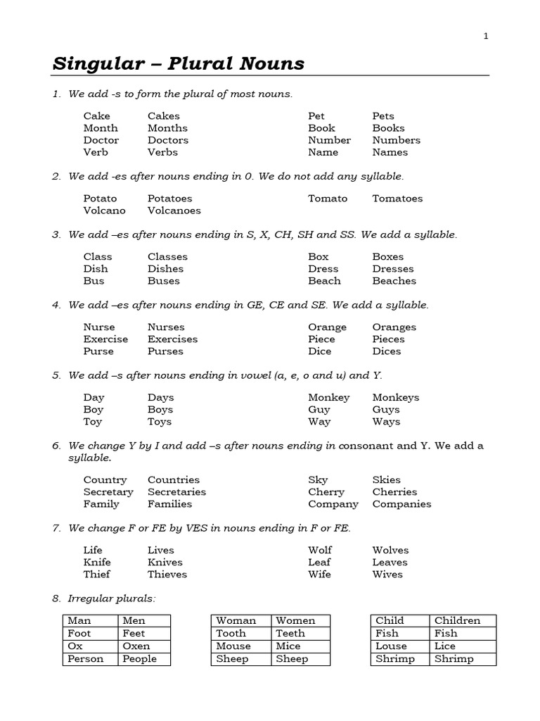 B1 - 05 Singular - Plural Nouns | PDF | Language Arts & Discipline