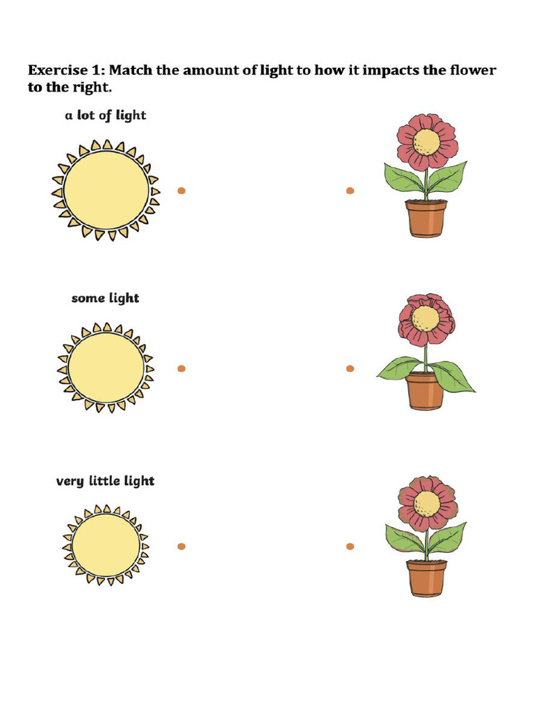 Worksheet Grade 1 Science | PDF