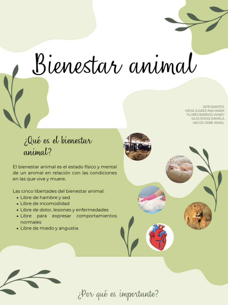 Importancia del Bienestar Animal | PDF | Bienestar de los animales ...