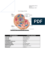 The Analogy of Cells and Cities: Organelles Compared to Infrastructure