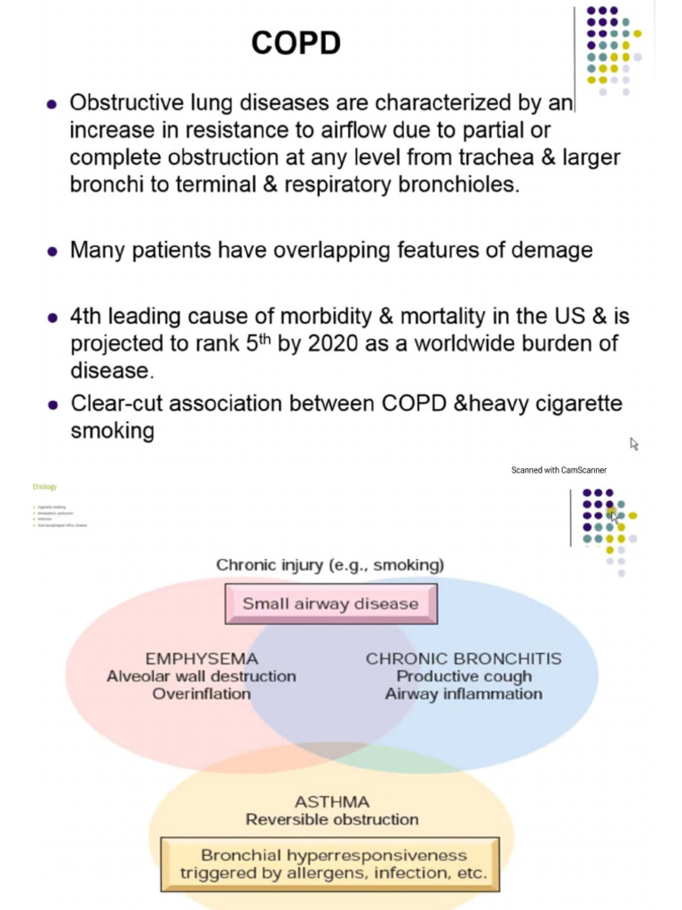 Obstructive Lung Diseases I (Emphysema, Chronic Bronchitis) - 1 | PDF