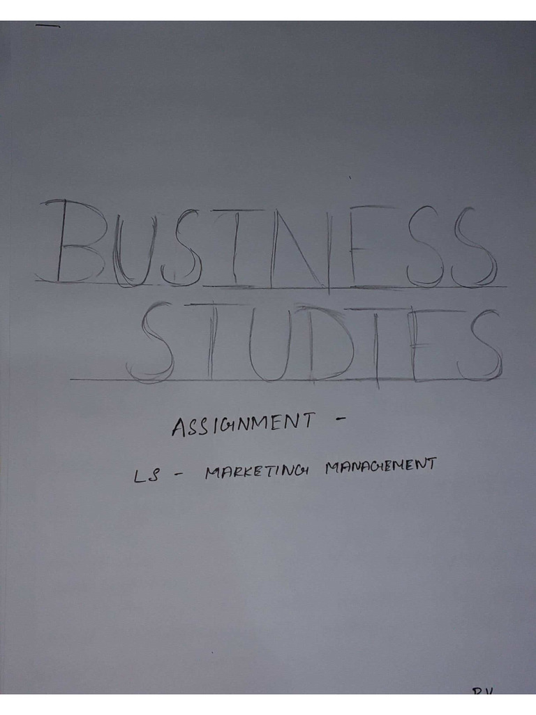 Business Assignment | PDF