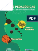 Diagnosticas Naturales Matematica 2011