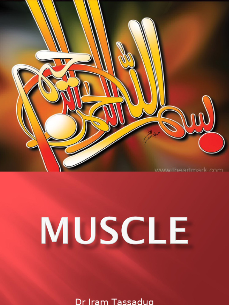 MUSCLE | PDF