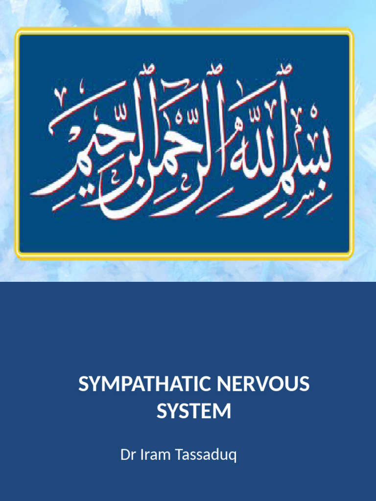 AUTONOMIC NERVOUS SYSTEM PDF NOTES visual data 5