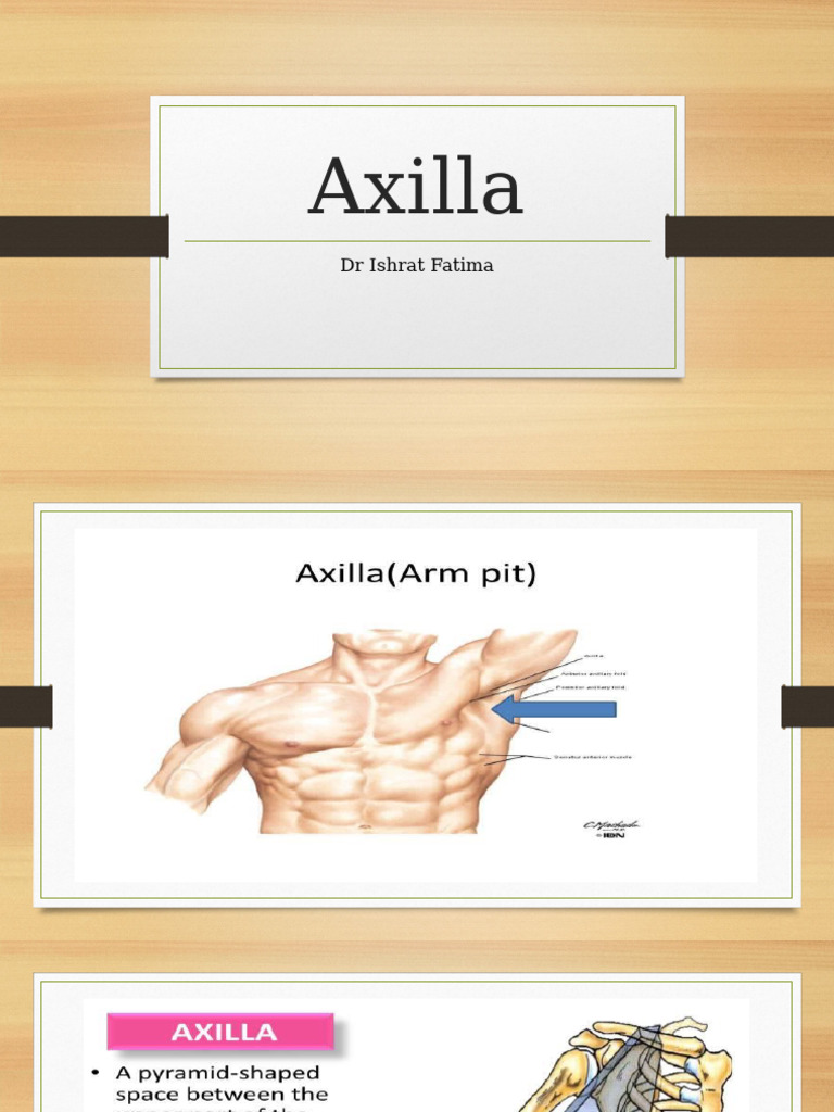 Axilla | PDF