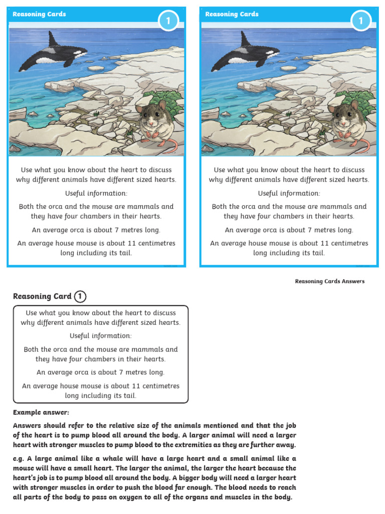 Reasoning Card 1 - The Heart | PDF