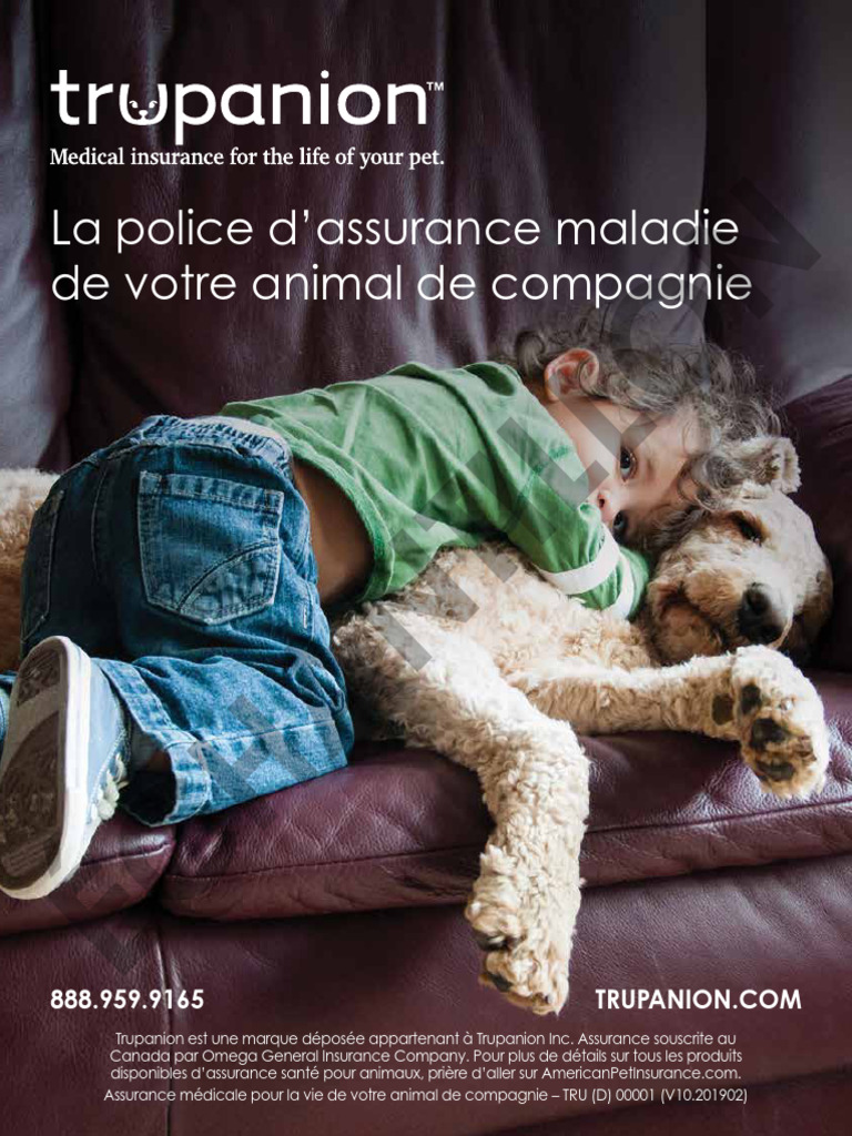 2019 Policy French SAMPLE | PDF