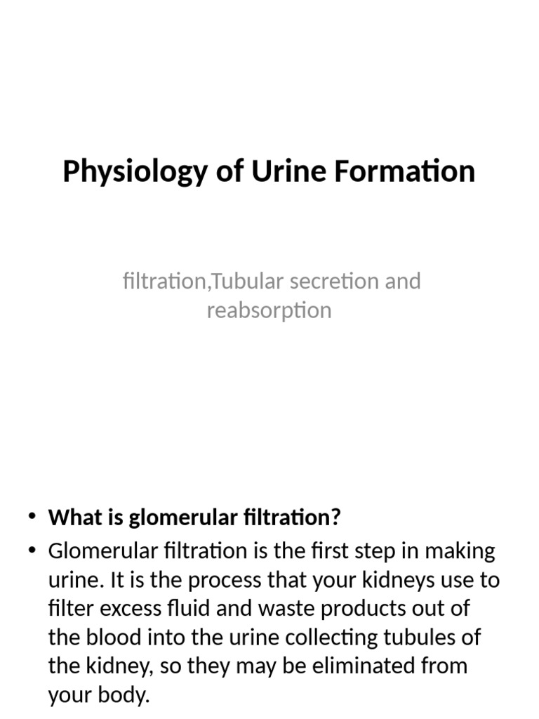 Physiology Of Urine Formation Pdf