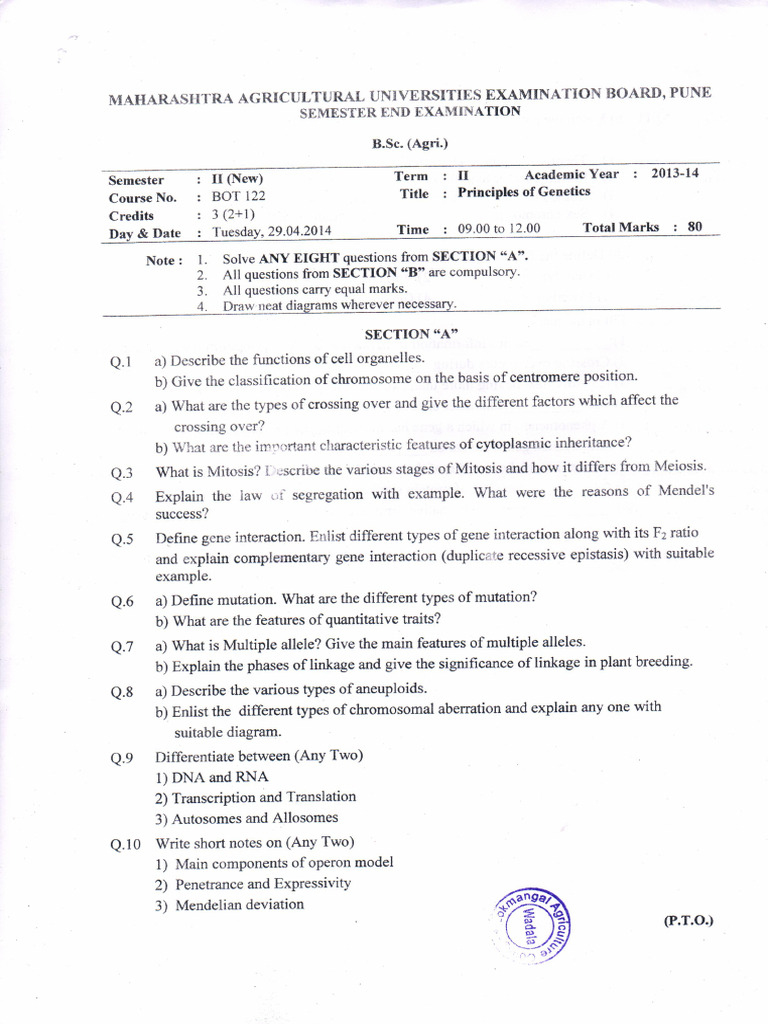 GPB-121 Que Paper | PDF