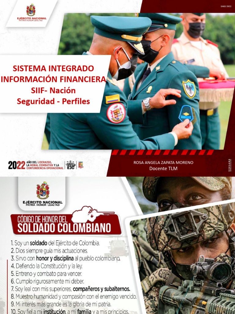 Siif - Seguridad - Perfiles | PDF