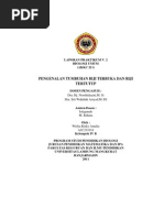 Download LAPORAN PRAKTIKUM V2 by Widya Rizky Amalia SN76706600 doc pdf