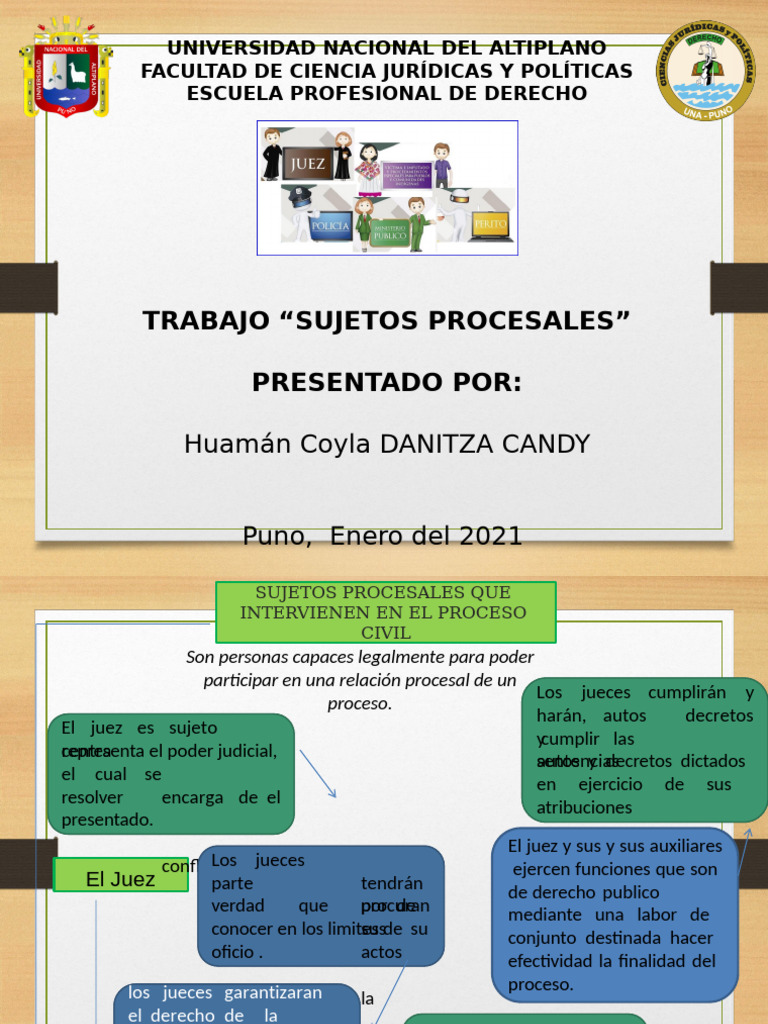 Sujetos Procesales Pdf