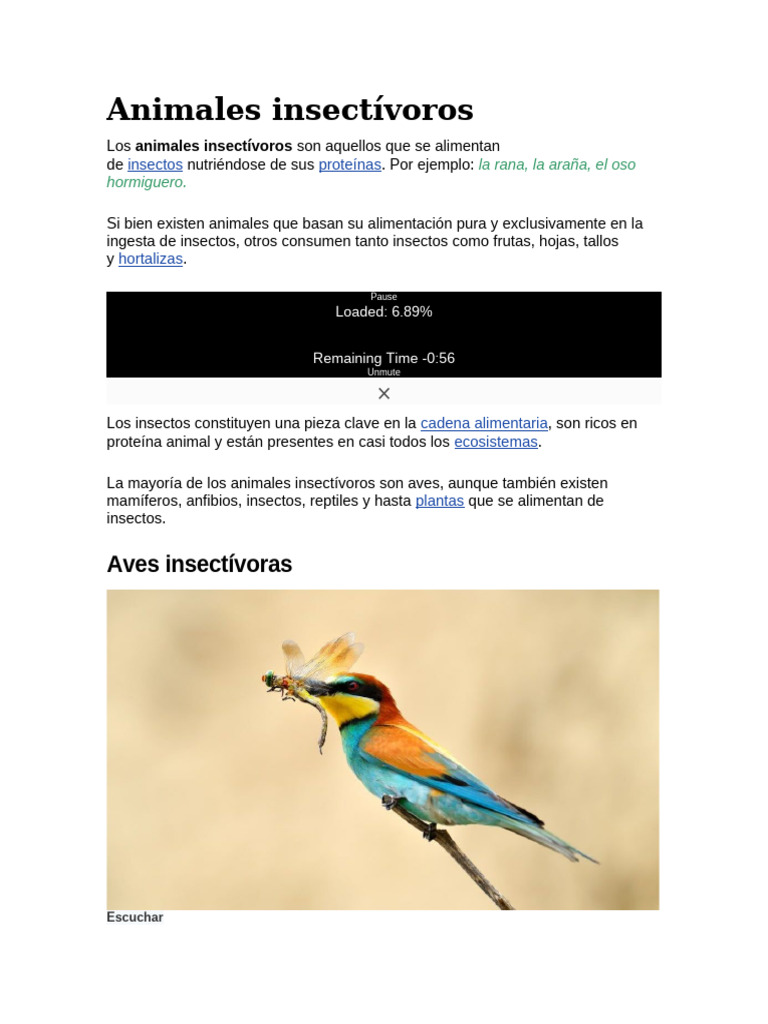 Animales Insectívoros | PDF
