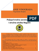 PSS Negotin - Brosura - Podizanje Vinograda 2010