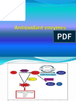 Antioxidant Enzymes