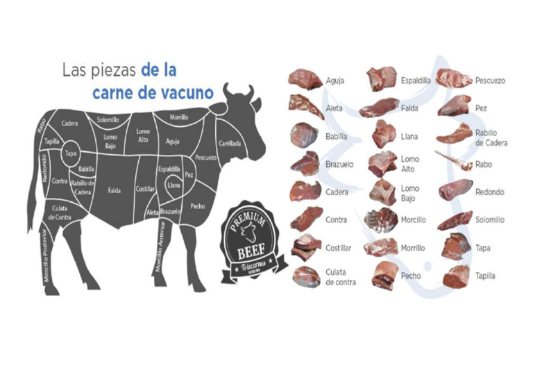 despiece-vacuno-imagen-pdf