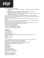 decoreba oficial 24 outubro