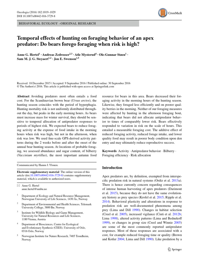 Temporal Effects of Hunting On Foraging Behavior of An Apex Predator ...