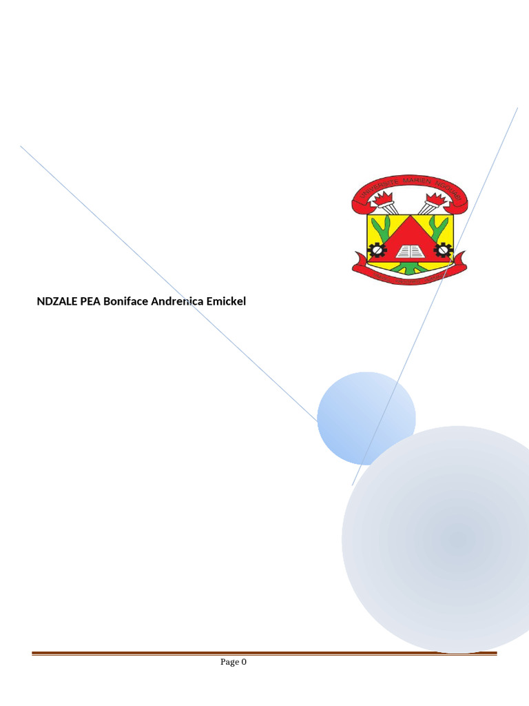 COURS DE DROIT MARITIME MR DIBAS N | PDF