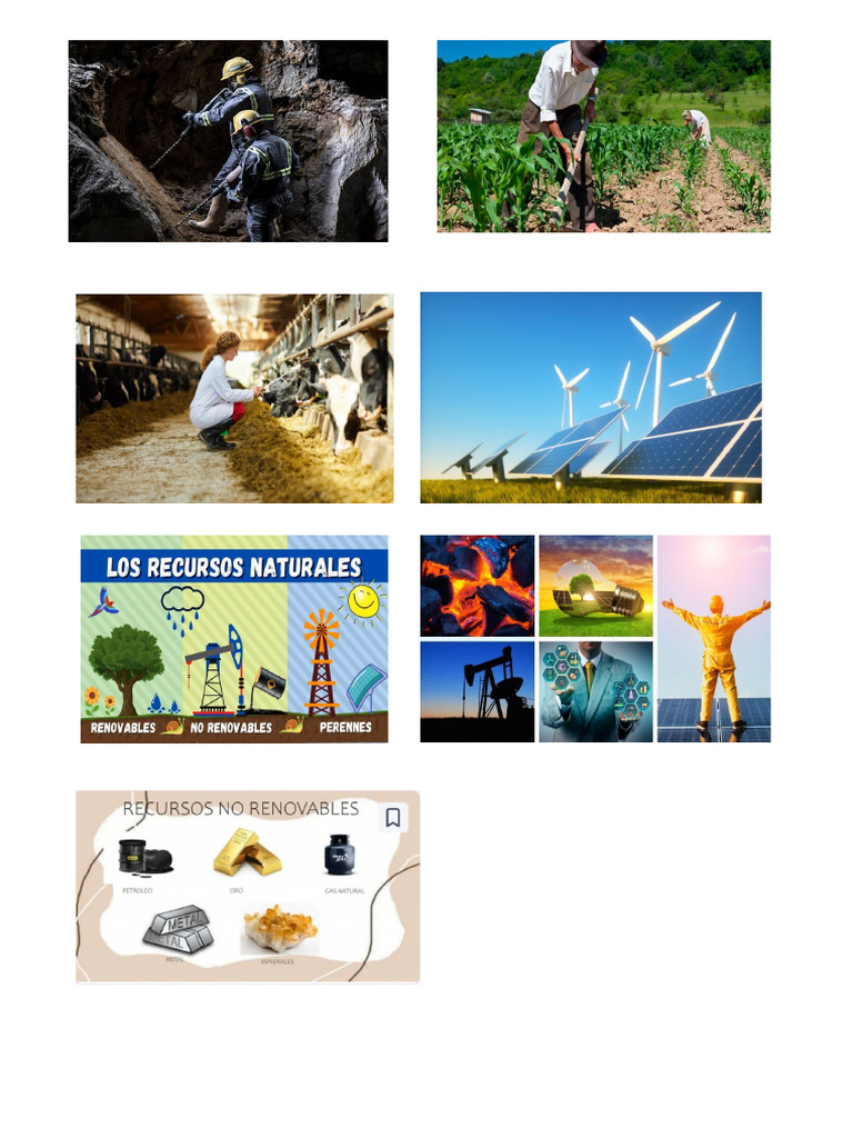 Recursos | PDF