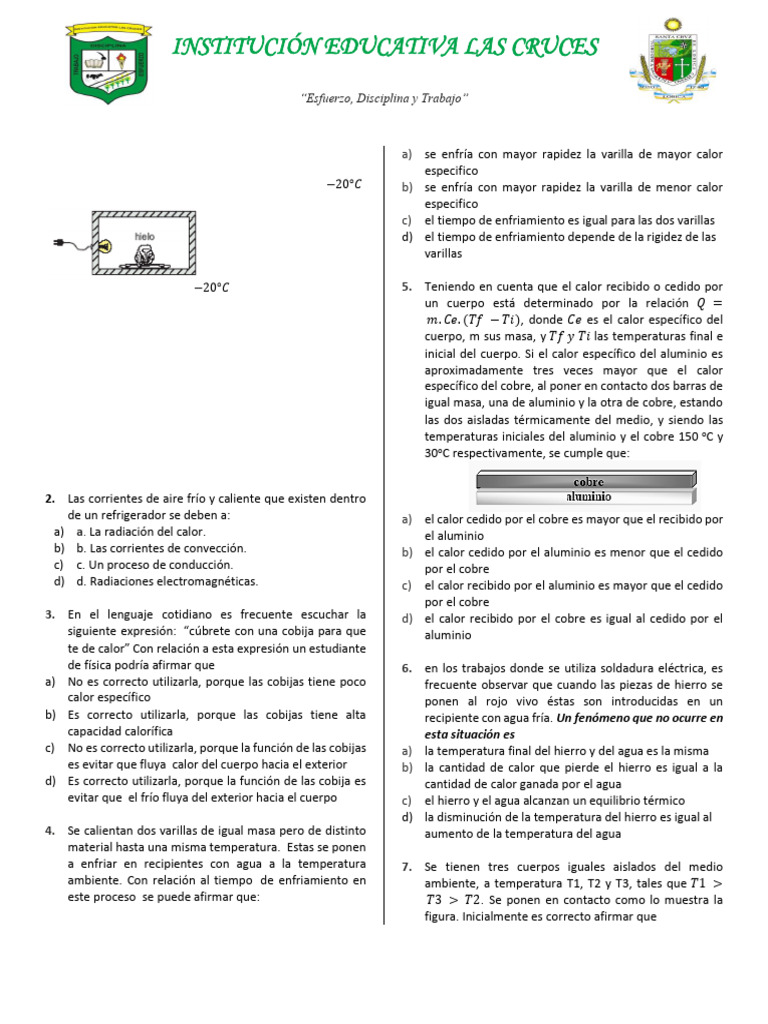 Examen Final Grado 8 | PDF