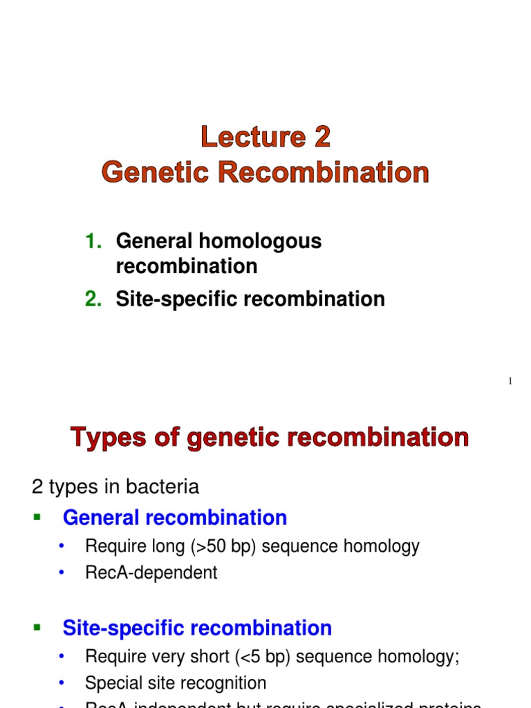 Types of Genetic Recombination Explained | PDF | Transposable Element ...