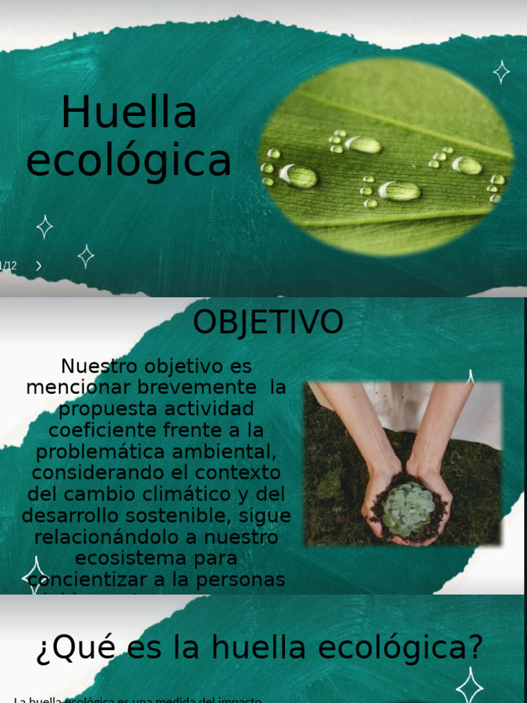 Huella Ecologica | PDF