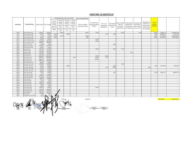 Stok Audit PBN Fix | PDF
