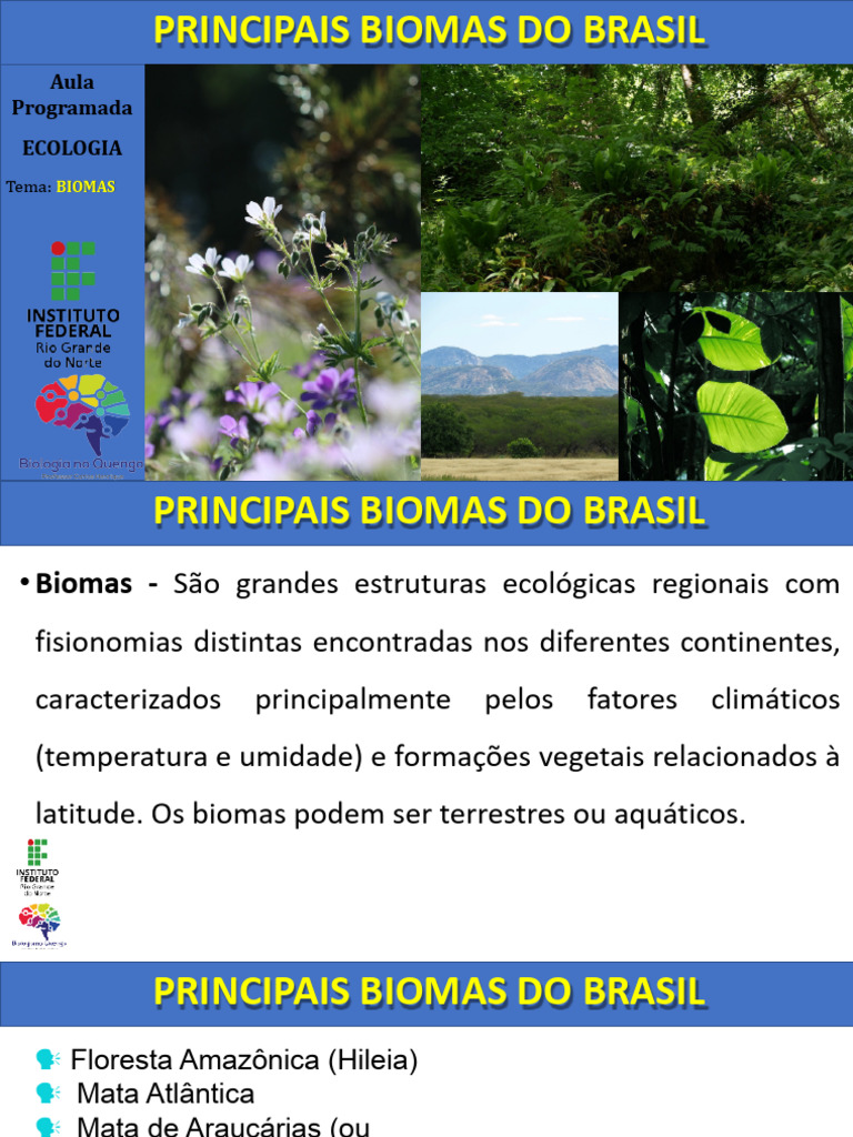 Biomas Do Brasil | PDF