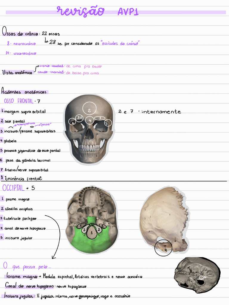 Revisão Avp1 | PDF