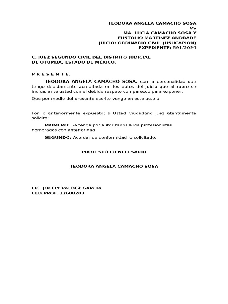 Machote Promoción | PDF