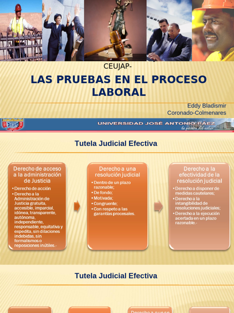 Pruebas en El Proceso Laboral | PDF