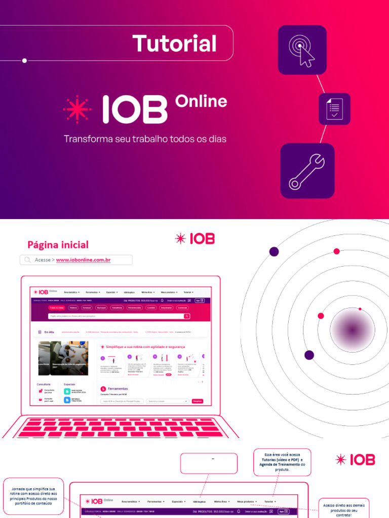 Tutorial IOB Online Marco2024 | PDF