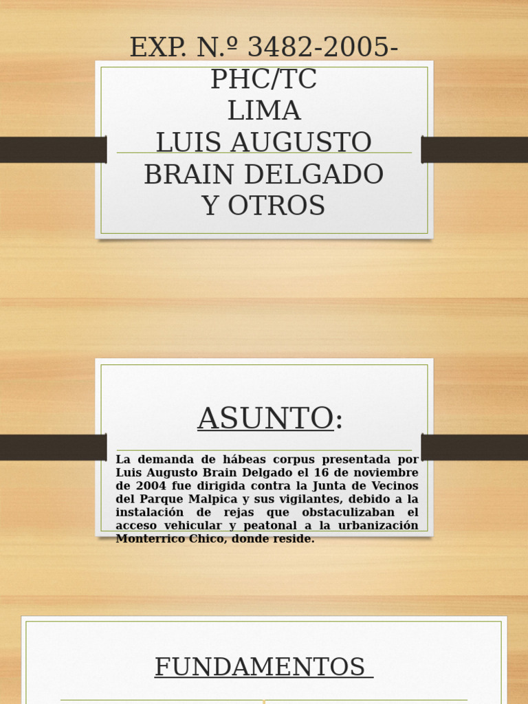 EXP. N.º 3482-2005-Phc/Tc Lima Luis Augusto Brain Delgado Y Otros | PDF