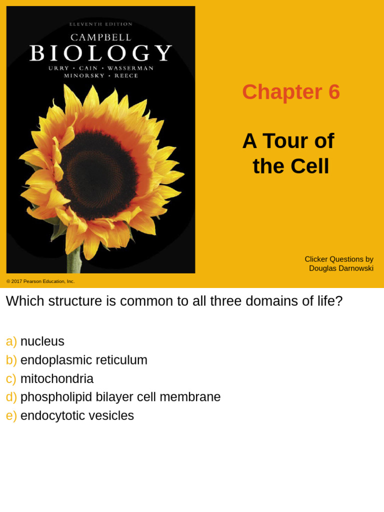 06 clicker questions pdf