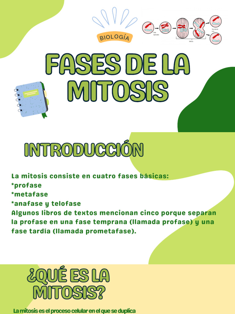 Installation & Delivery Area visual data 7