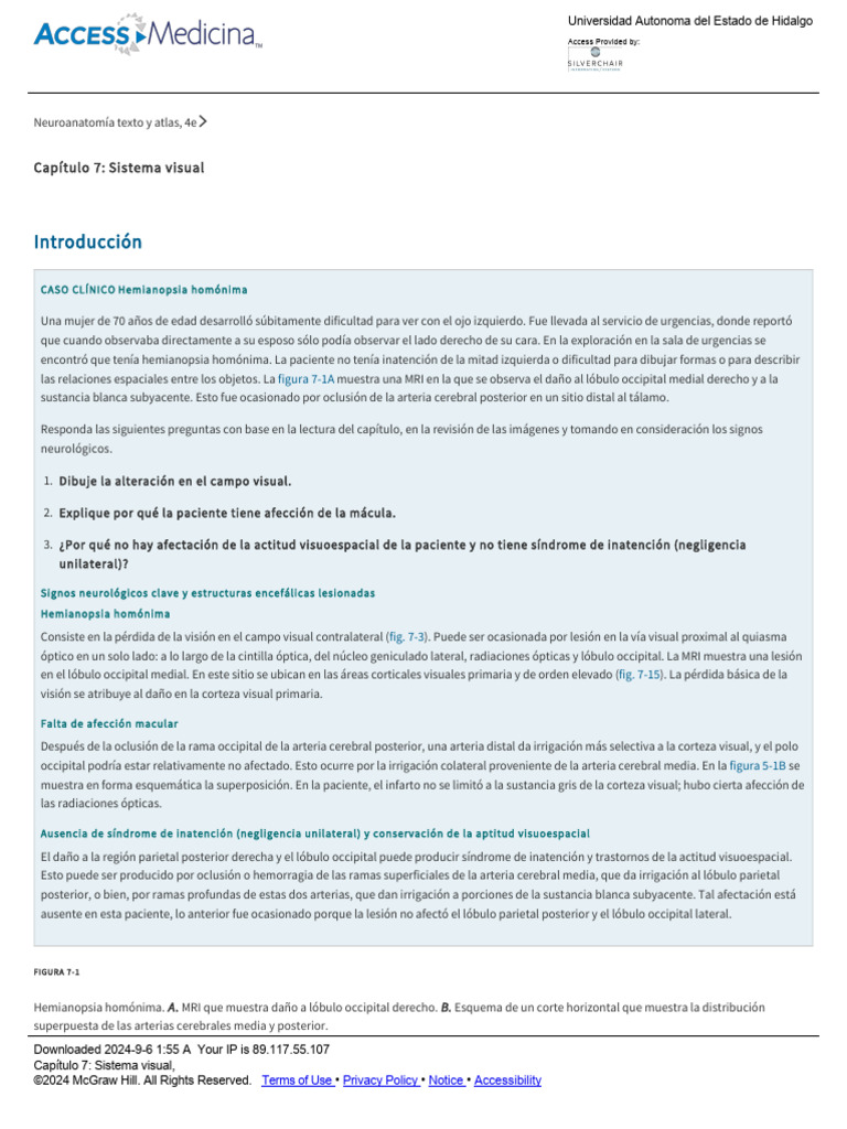 Capítulo 7 Sistema Visual Pdf