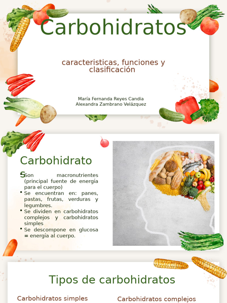 Carbohidratos Caracteristicas Y Funciones Pdf