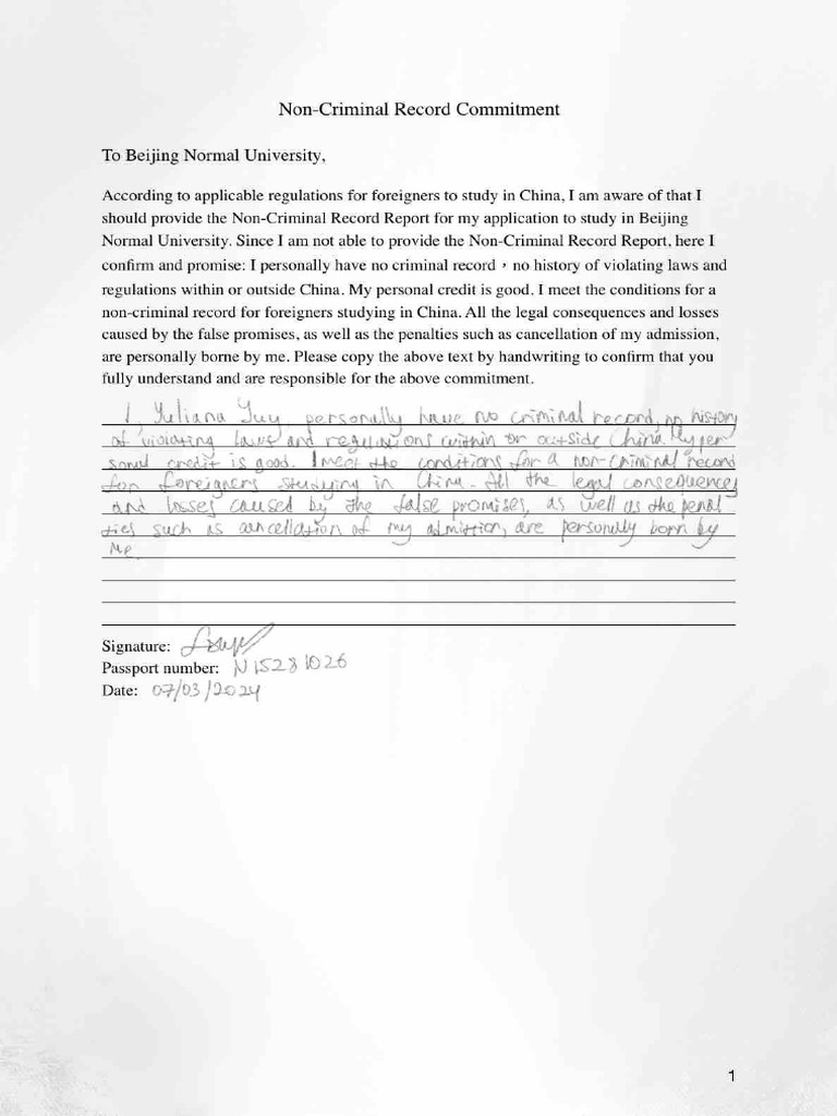 Noncriminalrecord | PDF